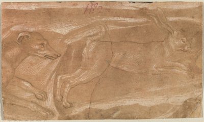Ein Hund jagt einen Hasen von Benozzo Gozzoli