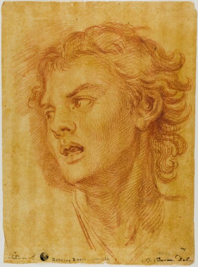 Kopf eines Jägers von Bernard Baron