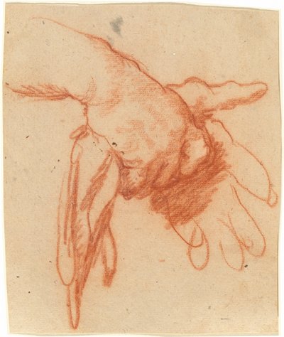 Eine Hand, die leere Handschuhe hält von Bernardo Strozzi