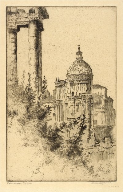 Säulen, Römisches Forum von Bertha E. Jaques