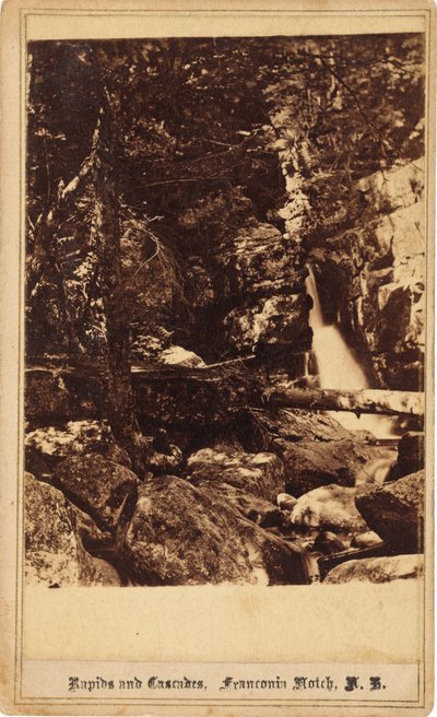 Stromschnellen und Kaskaden, Franconia Notch, New Hampshire von Bierstadt Brothers