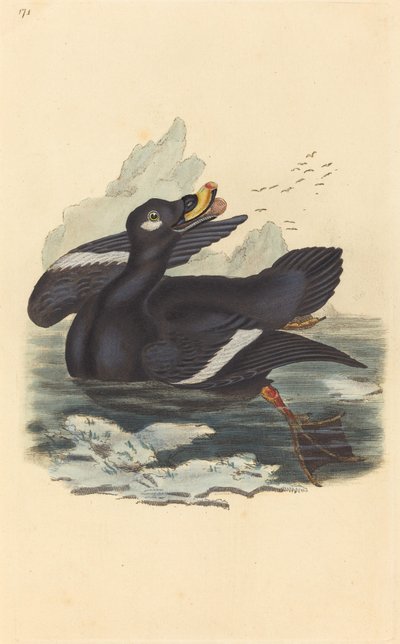 Samtente von British 19th Century