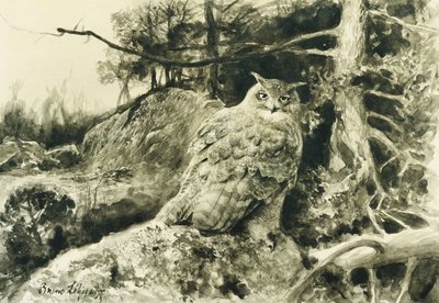 Uhu (Bubo Bubo) von Bruno Andreas Liljefors