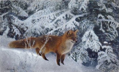 Winterfuchs von Bruno Andreas Liljefors