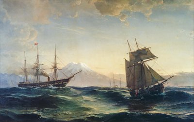 Schiffe vor der Küste Islands von C.F. Sørensen
