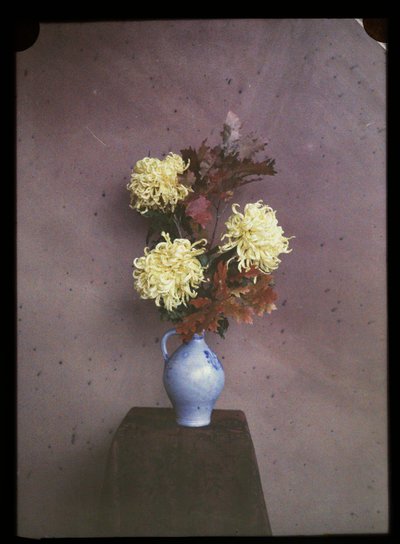Blumen (Astern) in einer Vase von C.W. Immink