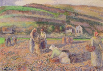 Die Kartoffelernte von Camille Jacob Pissarro