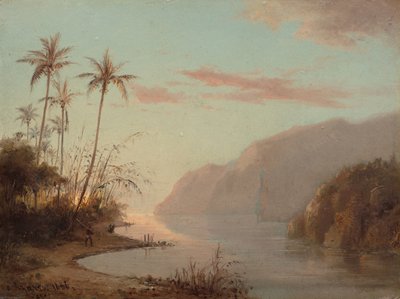 Ein Bach in St. Thomas (Virgin Islands) von Camille Pissarro