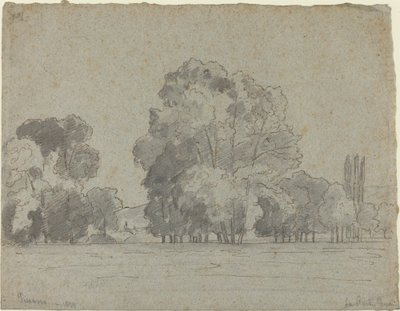 Baumhain, 1859 von Camille Pissarro