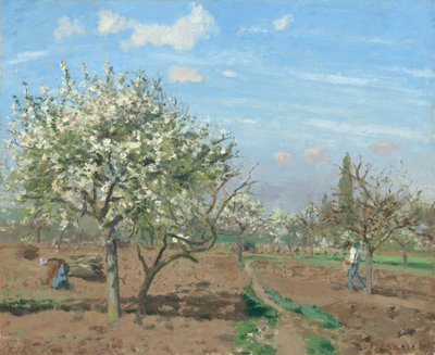 Obstgarten in Blüte, Louveciennes, 1872 von Camille Pissarro