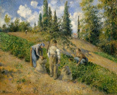 Die Ernte, Pontoise La Récolte, Pontoise, 1881 von Camille Jacob Pissarro