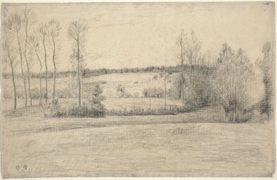 Bäume und Wiesen bei Eragny von Camille Pissarro