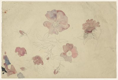 Blumenstudien in Lila und Rosa von Carel Adolph Lion Cachet