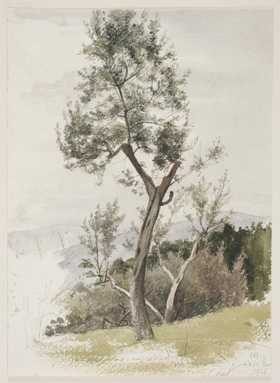 Bäume auf einem Berghang von Carl Bloch
