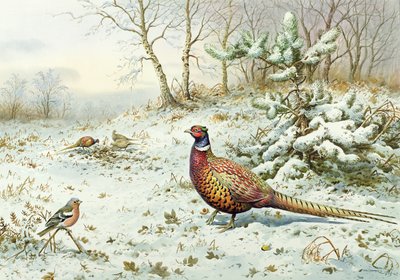 Fasan und Buchfink von Carl Donner