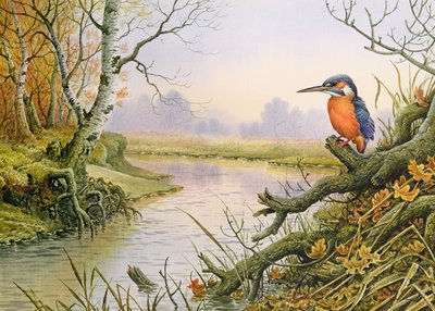 Eisvogel: Herbstflusslandschaft von Carl Donner