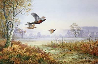 Fasane im Flug von Carl Donner