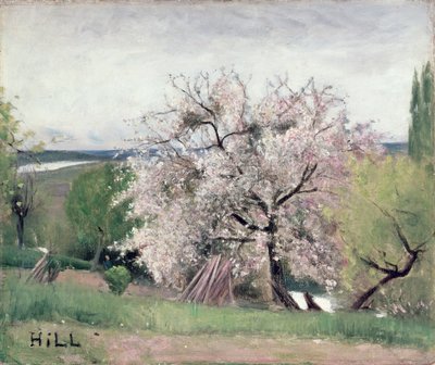 Obstbaum in Blüte, Bois-le-Roi von Carl Fredrik Hill