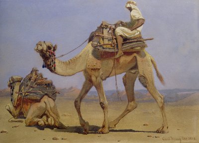 Kamel bereitet sich zum Hinlegen vor von Carl Haag
