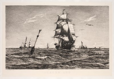 Skagen ind von Carl Locher