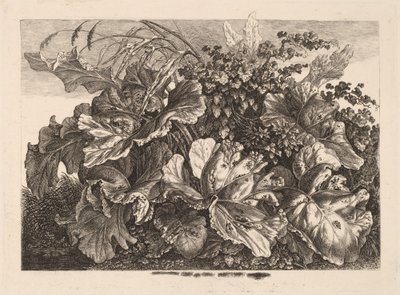 Laubstudie mit Schilf und Hopfen von Carl Wilhelm Kolbe