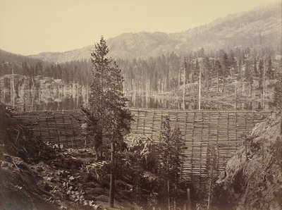 Damm und See, Nevada County, Nahansicht von Carleton Watkins