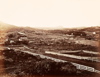 Lone Mountain, vom Waisenhaus aus von Carleton Watkins