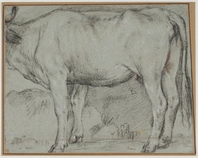 Stehende Kuh (Kopf fehlt) von Carlo Caliari