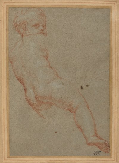 Studie eines Jungen von Carlo Maratta