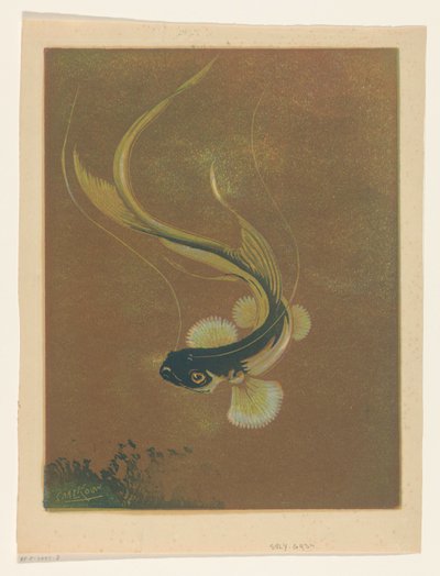 Schwimmender Fisch von Casper M.L. Kouw