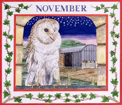 November von Catherine Bradbury