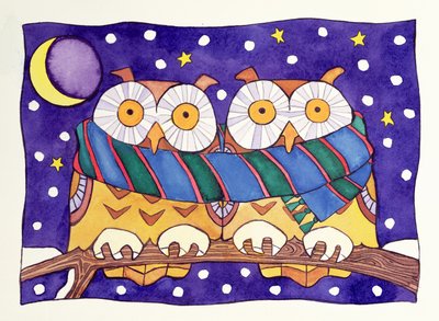 Eulen bei Nacht von Cathy Baxter