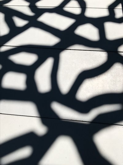 Komposition - Schatten von Cécile Jamet