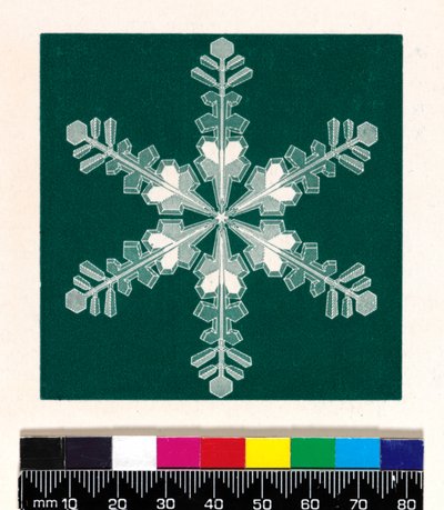 Schneekristalle von Cecilia Glaisher