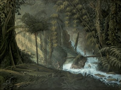 Brasilianischer Wald von Charles Comte de Clarac