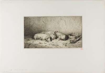 Vier schlafende Schweine von Charles Emile Jacque