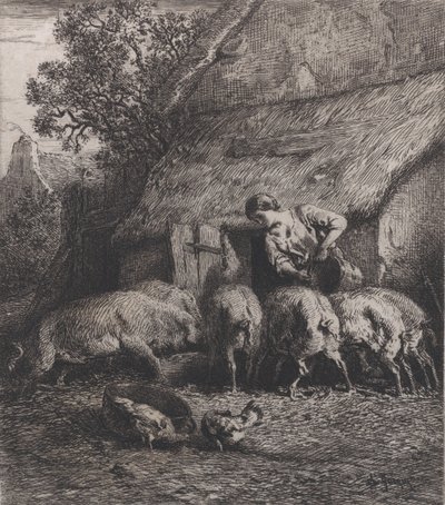 Frau füttert Schweine, 1850 von Charles Emile Jacque