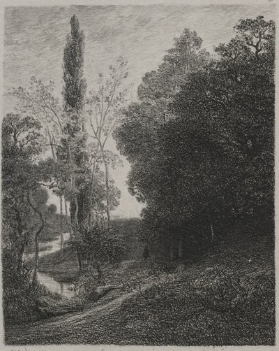 Ufer des Flusses Cousin, 1850 von Charles Francois Daubigny