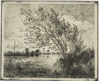 Gruppe von Erlenbäumen von Charles Francois Daubigny