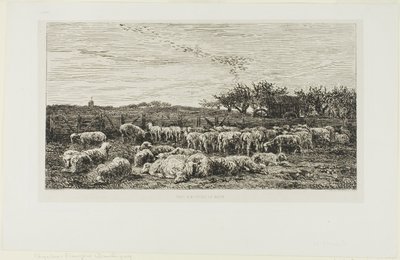 Wiese mit Schafen von Charles Francois Daubigny