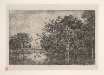 Die Sümpfe, 1851 von Charles Francois Daubigny