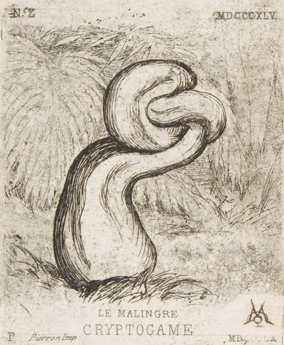 Die schwächliche Kryptogamie, 1860 von Charles Meryon