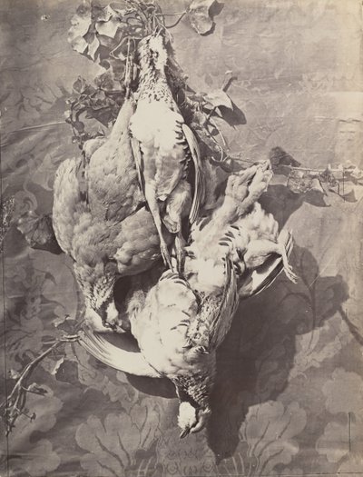 Stillleben mit Wildvögeln, 1859 von Charles Nègre