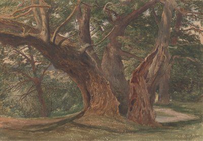 Bäume in einer Landschaft von Charles Reginald Aston