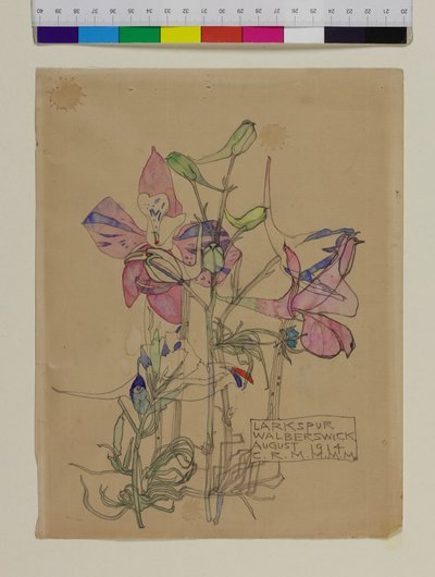 Rittersporn, 1914 von Charles Rennie Mackintosh