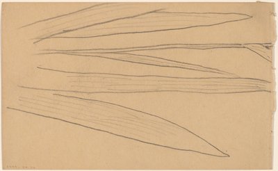 Studie einer Blume (verso) von Charles Sprague Pearce