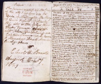 Die Suche nach dem Glück von Charlotte Bronte