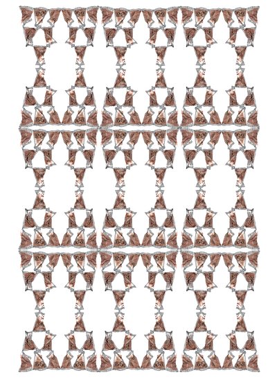 Teeverpackungsdesign, 2018 von Charlotte Orr