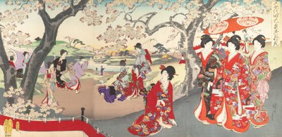 Chiyoda-Schloss Album der Frauen, 1895 von Chikanobu Yoshu