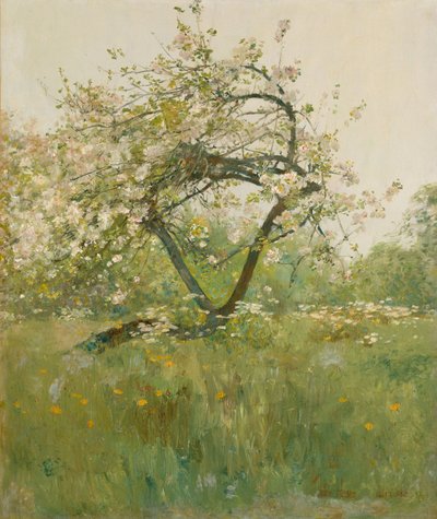 Pfirsichblüten, Villiers-le-Bel von Childe Frederick Hassam